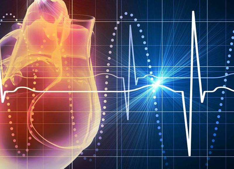 ¿Cómo prevenir las enfermedades cardiovasculares?