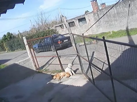 Un joven ató a su auto a un ladrón y lo arrastró por la calle