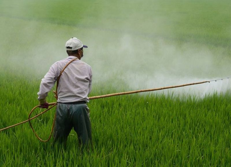Tras recibir presiones, el Gobierno autorizó el uso de agroquímicos cuestionados