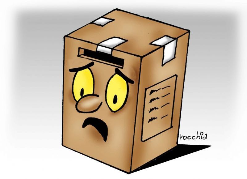 VIDEO | Balotaje: se estima que votó más del 66 por ciento del padrón