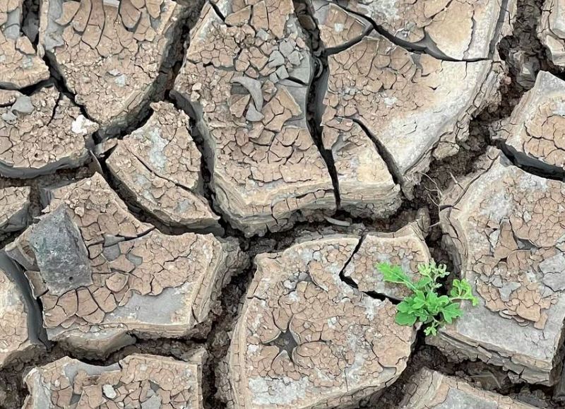 Se les queman los papeles: el Senado interpela a los ministros de Lacalle Pou por la crisis hídrica